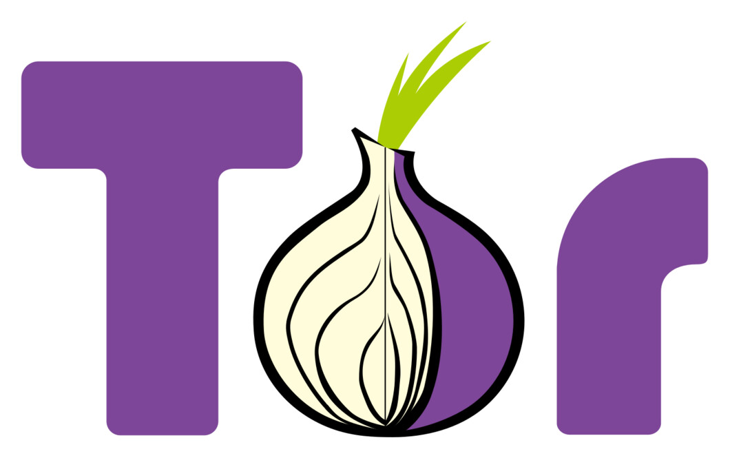 The Tor Project onion logo, the anonymity network whose volunteer exit relays were hijacked to intercept SSH credentials in the October cybersecurity news incident